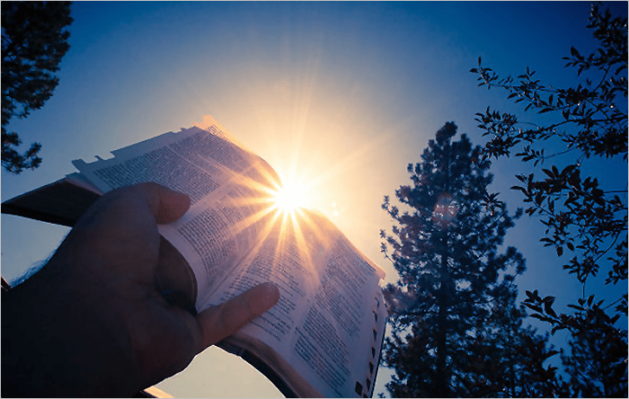 The Way To&nbsp;Happiness