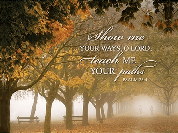 Trust God’s Plan For Your&nbsp;Life