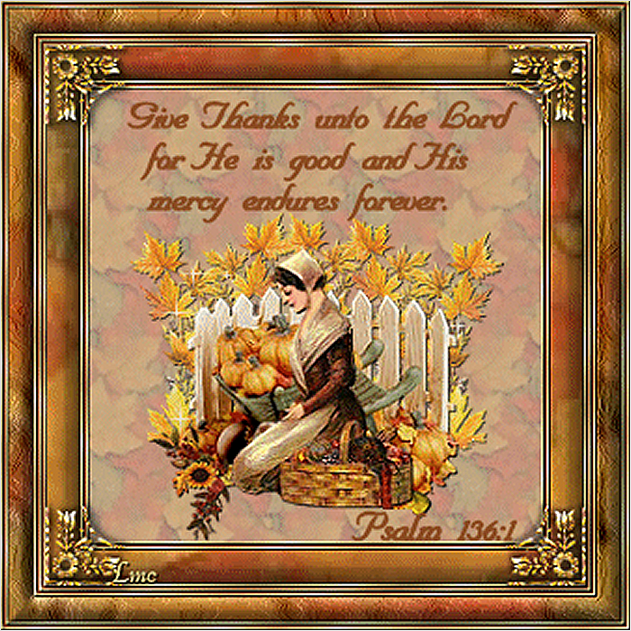 Some Things To Be Thankful For