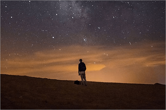 If You Miss It The Loss Is Immeasurable