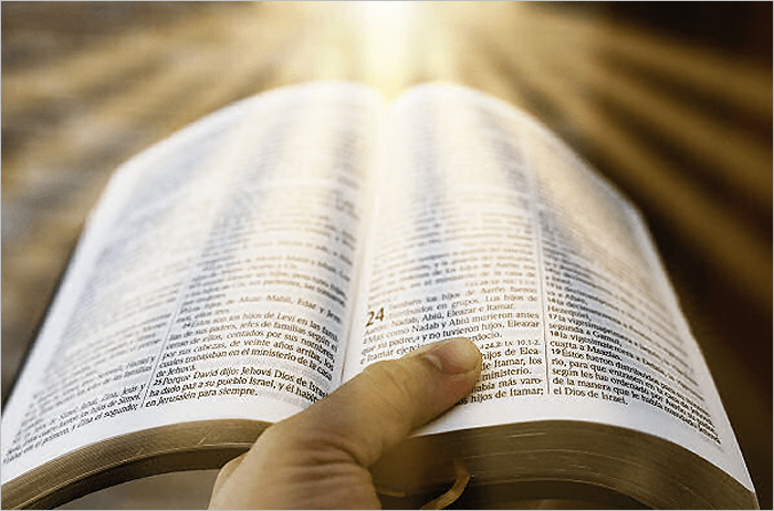 They’ll Fall For&nbsp;Anything