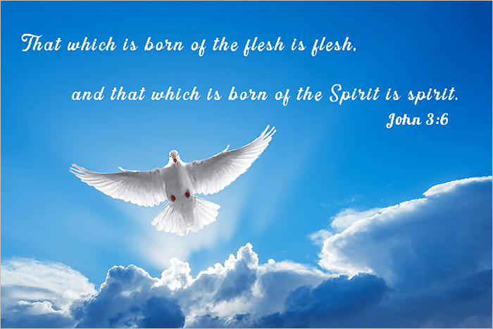 There Is None Righteous – No Not&nbsp;One