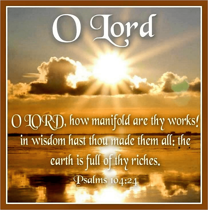 How He Has Orchestrated It All