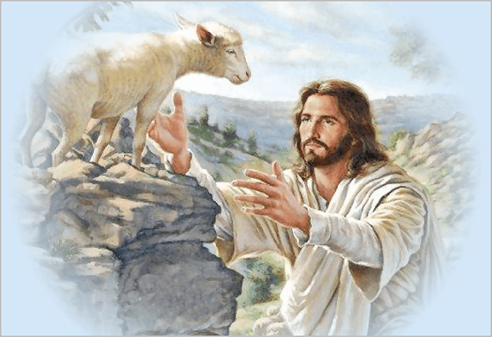 All Sheep Need The&nbsp;Shepherd