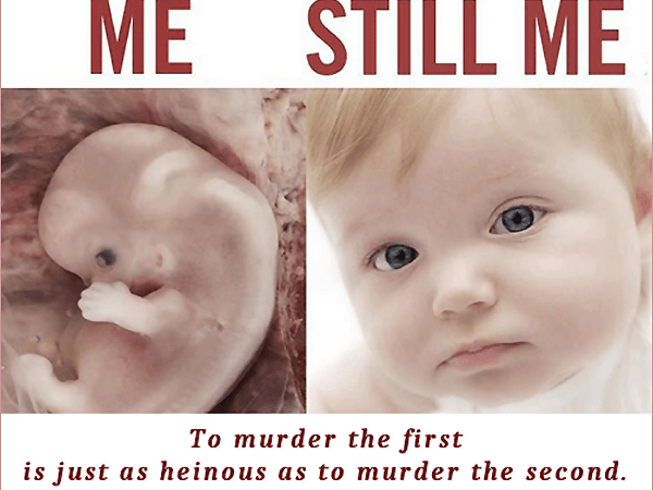 The Blood Of Boys And&nbsp;Girls