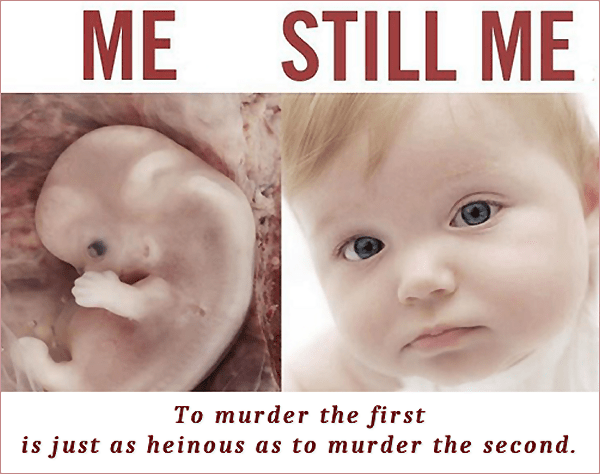 The Blood Of Boys And&nbsp;Girls