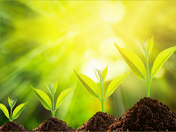 What Is The Blessing Of&nbsp;Maturity?