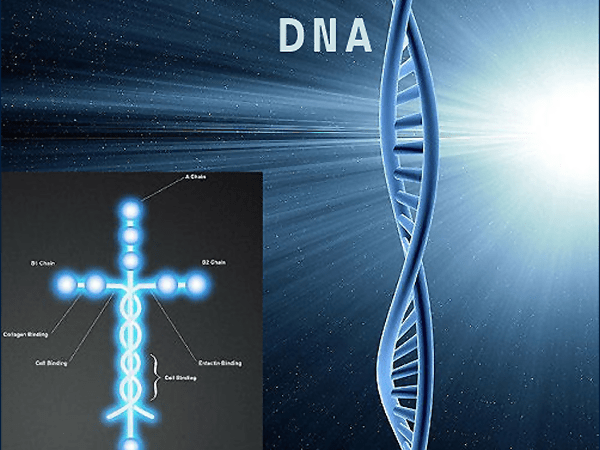 A Presentation That Stops All&nbsp;Arguments