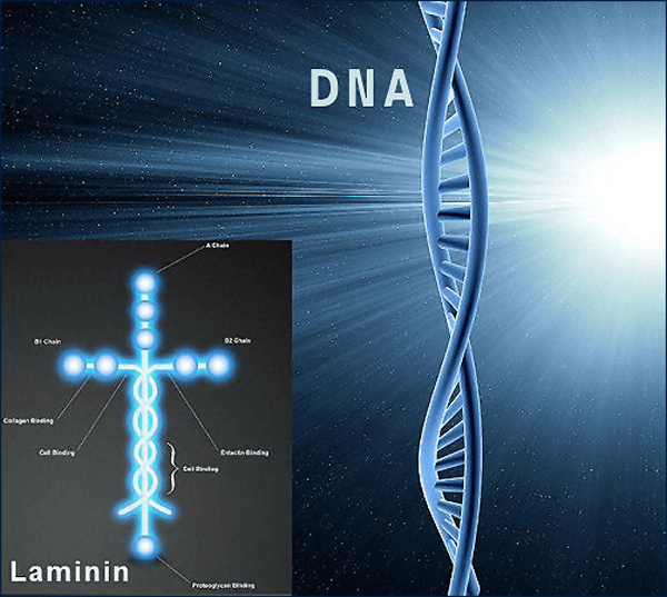 A Presentation That Stops All&nbsp;Arguments