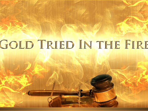 Believers Appointed To&nbsp;Afflictions