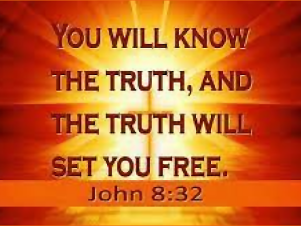 Which Would You&nbsp;Choose?