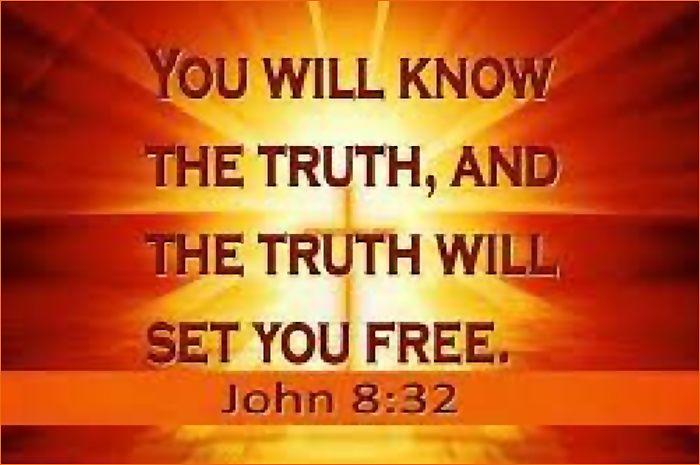 Which Would You&nbsp;Choose?