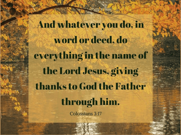 Don’t Take On Their&nbsp;Ways