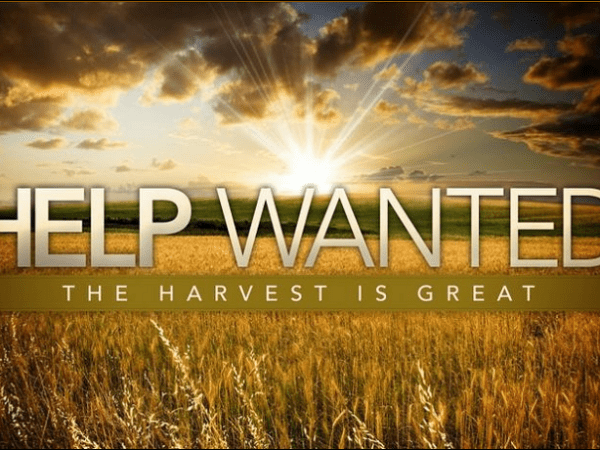 A Prayer Request From Jesus&nbsp;Himself