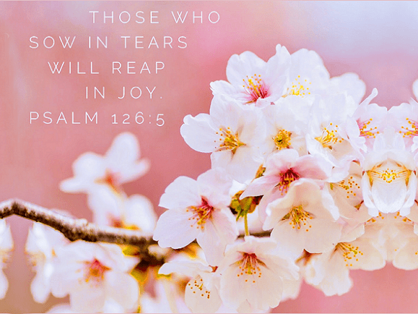 Sowing And Reaping Works Both&nbsp;Ways